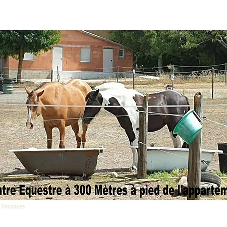 Avec Piscine. Monflanquin